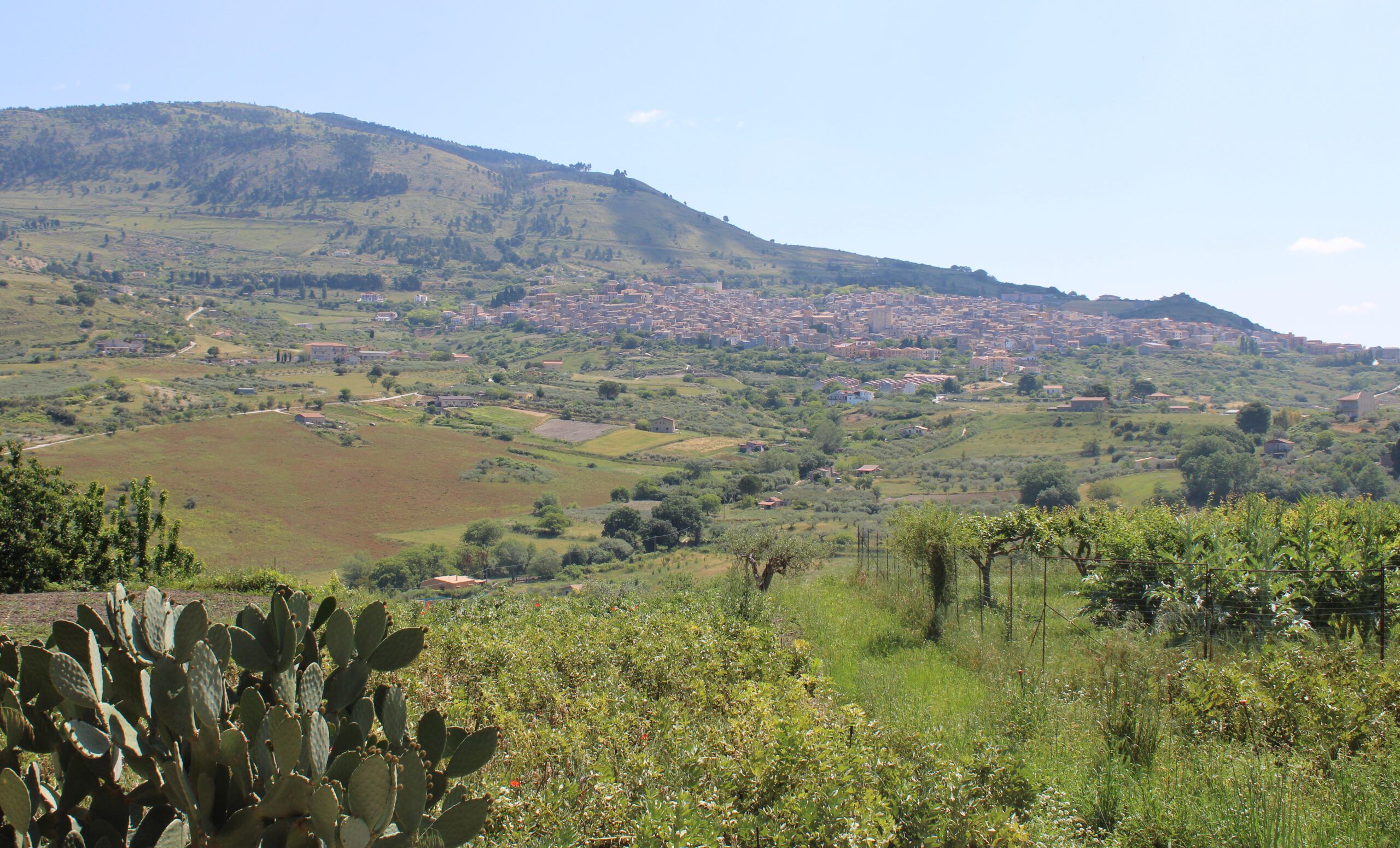 Garden Al Mizar with view on Bisacquino