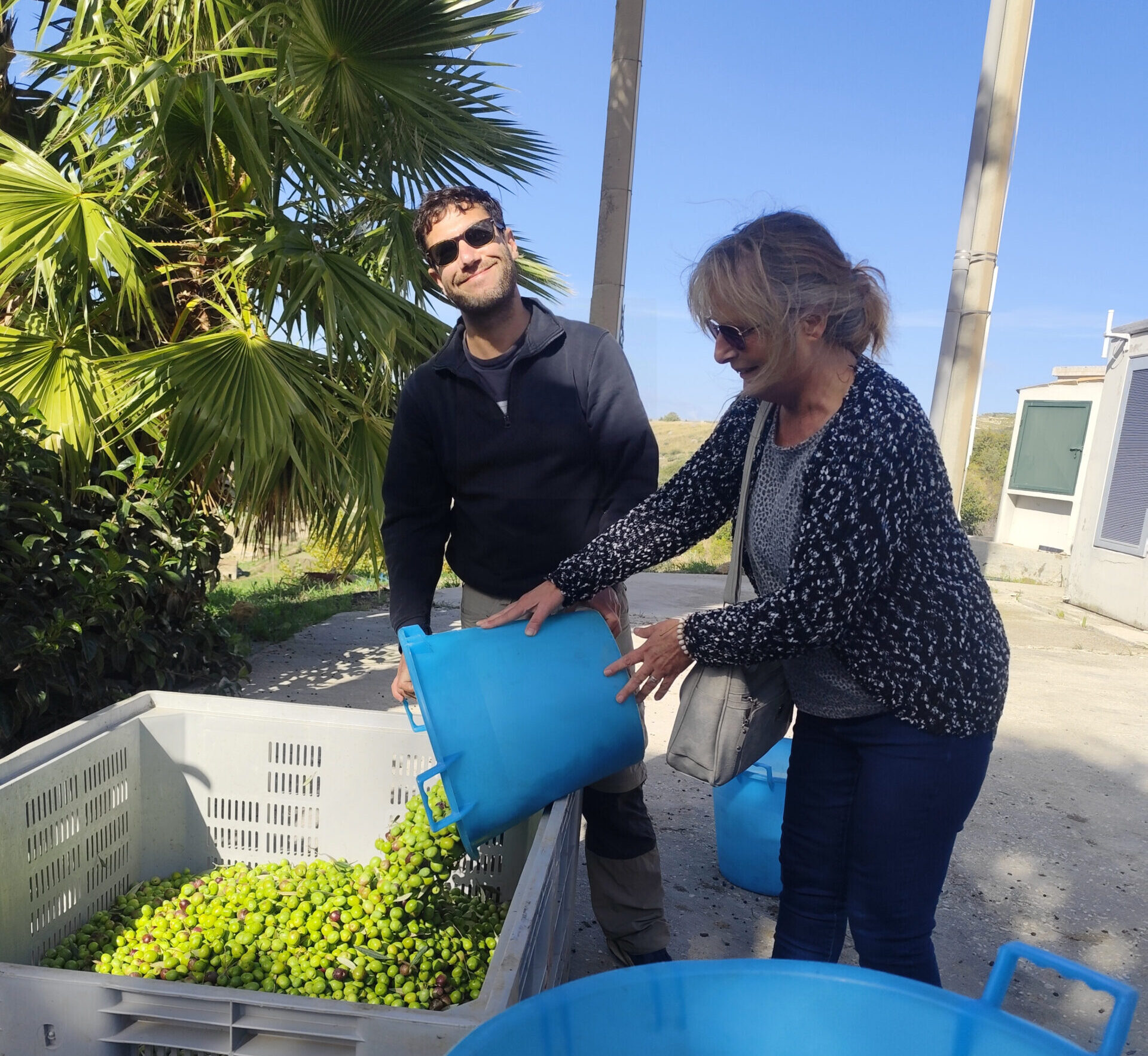 Verzamelen bij de olijfoliemolen
